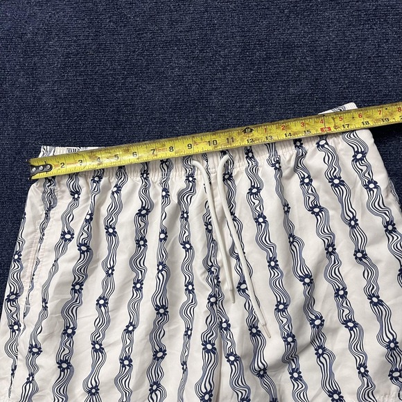 PacSun Swim Trunks Mens‎ XL Blue White Wavy Stripe Floral Lined Shorts Beach - Picture 7 of 11